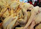 Gà ế, gà rẻ hơn rau...: Không chỉ lỗi của truyền thông