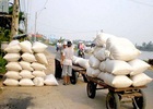 Dùng gạo làm nguyên liệu để tiết kiệm ngoại tệ