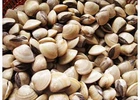 Sạt nghiệp vì tôm, ngao chết hàng loạt