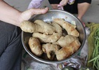 Gừng "độc" Trung Quốc vẫn bán tràn chợ vì chưa thấy... cấm