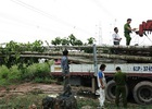 Có thể khởi tố vụ gây sự cố mất điện đường dây 500 kV