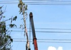 Sự cố đứt đường dây 500KV gây thiệt hại rất lớn