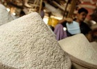 Quan chức Trung Quốc “đính chính” kết quả gạo nhiễm Cadmium