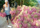 Mất tiền tỉ vì bị động