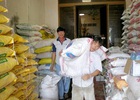 DN phân bón phải xin cấp phép lại