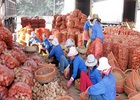 Khoai tây “độc” Trung Quốc qua cửa khẩu - Lọt lưới vì kiểm tra xác suất(?!)