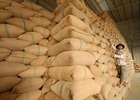 Áp lực kho chứa đè nặng lên vai các doanh nghiệp