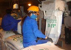 Nhập khẩu phân bón tăng mạnh
