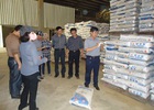 Lỏng lẻo trong quản lý chất lượng vật tư nông nghiệp 