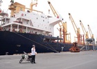 Vụ “mất tiền tỉ vì hàng bị giam ở cảng”: Đẩy khó cho doanh nghiệp