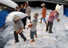 Xuất khẩu gạo: Một năm khó khăn
