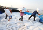 Xuất khẩu gạo sang Trung Quốc: Cần lưu ý khâu làm hợp đồng, thanh toán