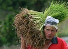 Thái Lan: Đến lượt nông dân biểu tình