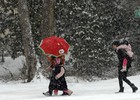 “Bão băng gây tê liệt” hoành hành ở nước Mỹ