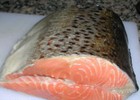 Giá cá thế giới cao kỷ lục