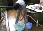 Nghệ An: Hàng trăm hộ dân sống trong ô nhiễm 