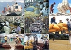 Chính phủ bổ sung quy định về tín dụng đầu tư và tín dụng xuất khẩu của Nhà nước