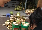 Dừa tẩy trắng độc hại