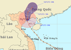 Trực tiếp: Bão càn quét Quảng Ninh, đổ cột truyền hình 52m