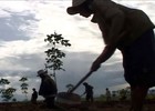 Global Witness muốn gì ở bầu Đức?
