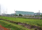 Vỡ làng...