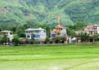 “Mỏi mắt” chờ đất dịch vụ 