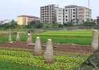 Thu hồi đất phải tính đến sinh kế lâu dài của người dân 