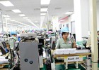  XK điện thoại và linh kiện đạt hơn 1 tỉ USD chỉ trong nửa tháng