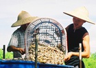 Chuyện cũ - “mắc mớ” không cũ
