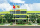Nhựa Rạng Đông: Thông qua phương án chào bán gần 3 triệu cổ phiếu cho cổ đông hiện hữu