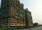 Khởi sắc trên thị trường căn hộ chung cư