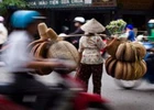 Long An: 6 tháng đầu năm 2013 GDP tăng trưởng 9,7%  