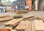Những tình tiết bất thường trong hoạt động nhập khẩu gỗ