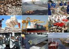 Bức tranh kinh tế Việt Nam 2013: Những vùng sáng, tối 
