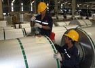 “Quá nuông chiều doanh nghiệp FDI”
