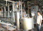 Sae Hwa Vina: Bán nhà xưởng trả nợ lương