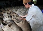 Ai đủ can đảm để “thất bại” đến 17 lần trong một năm?