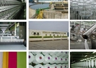 Vô địch chuyển giá, trắng trợn hơn cả Keangnam