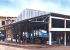 Giá bán cao su không đạt kỳ vọng, DPR chỉ mới hoàn thành 65% kế hoạch doanh thu tiêu thụ sau 10 tháng