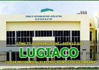 LuGiaco tăng trưởng mạnh doanh thu, 9 tháng vẫn lỗ