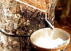 Giá cao su tự nhiên, lãi tiền gửi đều giảm, Cao su Đồng Phú giảm lãi 33% 9 tháng năm 2013