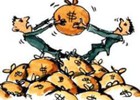 Bứt phá quý 3, TIE vượt 72% kế hoạch lãi cả năm sau 9 tháng