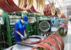 NHNN: Đang nghiên cứu theo hướng hoãn Thông tư 02