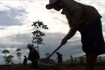 Global Witness muốn gì ở bầu Đức?