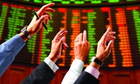 REE tăng trần lên cao nhất 5 năm, dòng tiền nội đẩy Vn-Index vượt 500 điểm