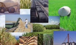 Sự kiện nổi bật năm 2013