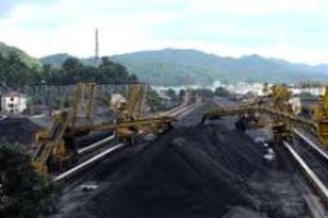 THT: REE nâng tỷ lệ sở hữu lên 14,14%