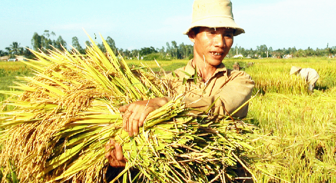 Khi nào hết được mùa mất giá?