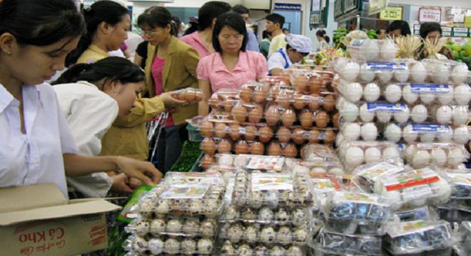 Giá trứng gia cầm, gà công nghiệp giảm sâu
