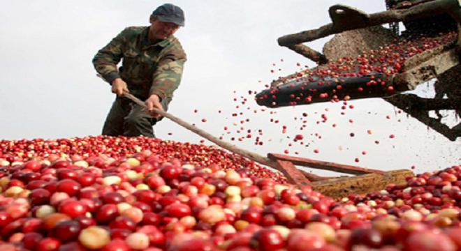 Giá giảm, hàng ế kiểu gì thì doanh nghiệp vẫn có lãi